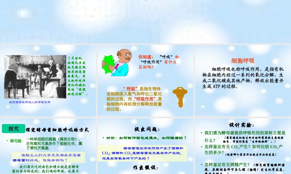 呼吸作用[1][1]概述.ppt