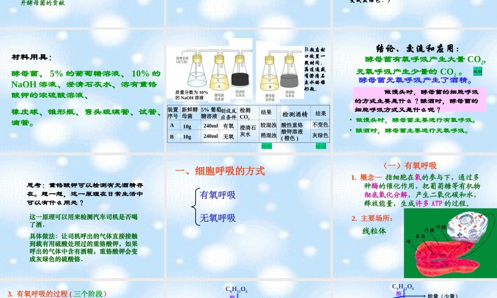 呼吸作用[1][1]概述.ppt