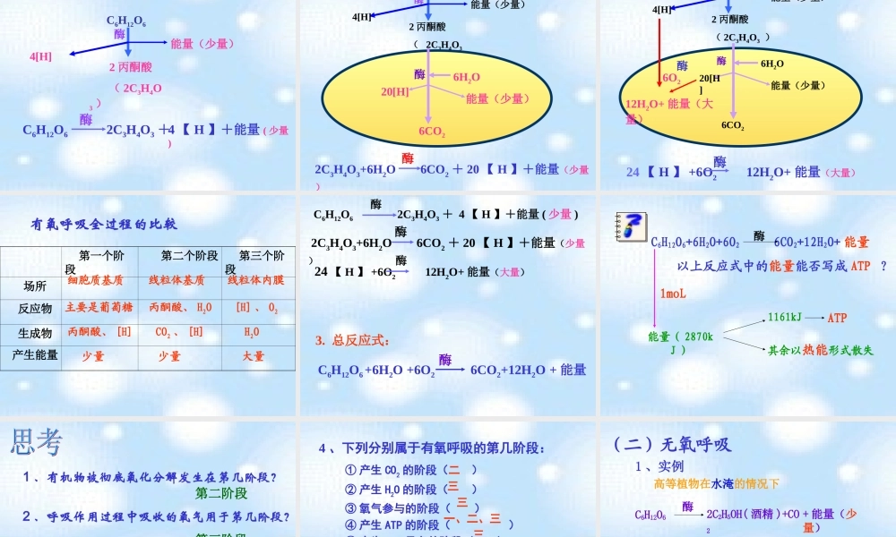 呼吸作用[1][1]概述.ppt