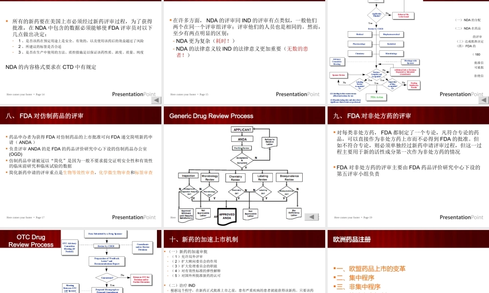 国际药品注册(美国和欧洲)资料.ppt