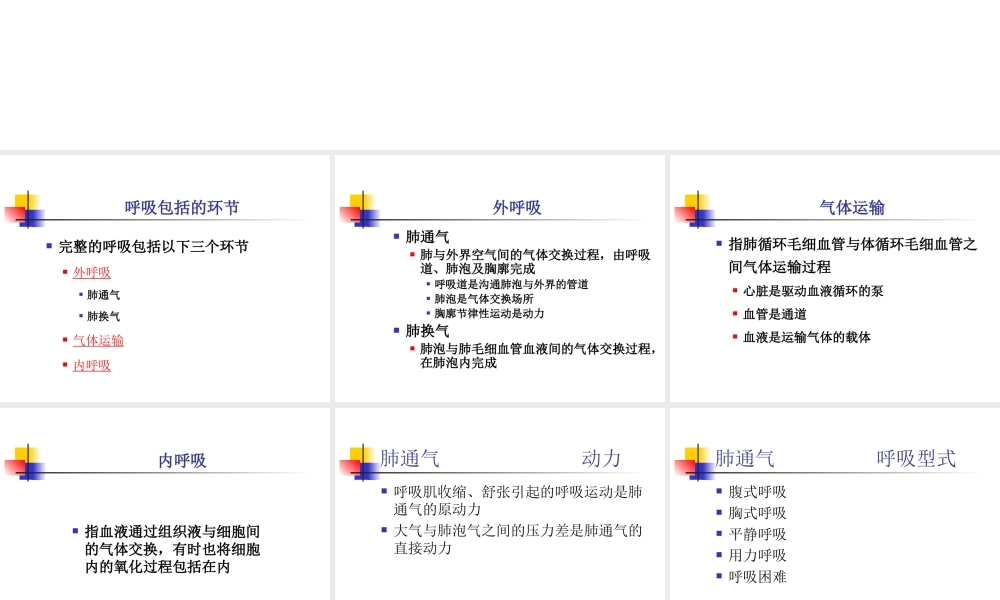 呼吸功能评估概要.ppt