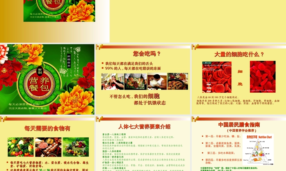 均衡营养餐幻灯片讲解ppt(精).ppt