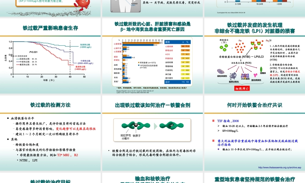 地中海贫血患教2.21.ppt