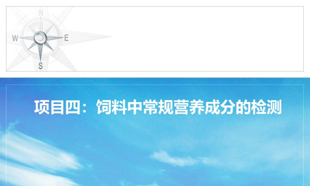 四饲料常规营养.ppt