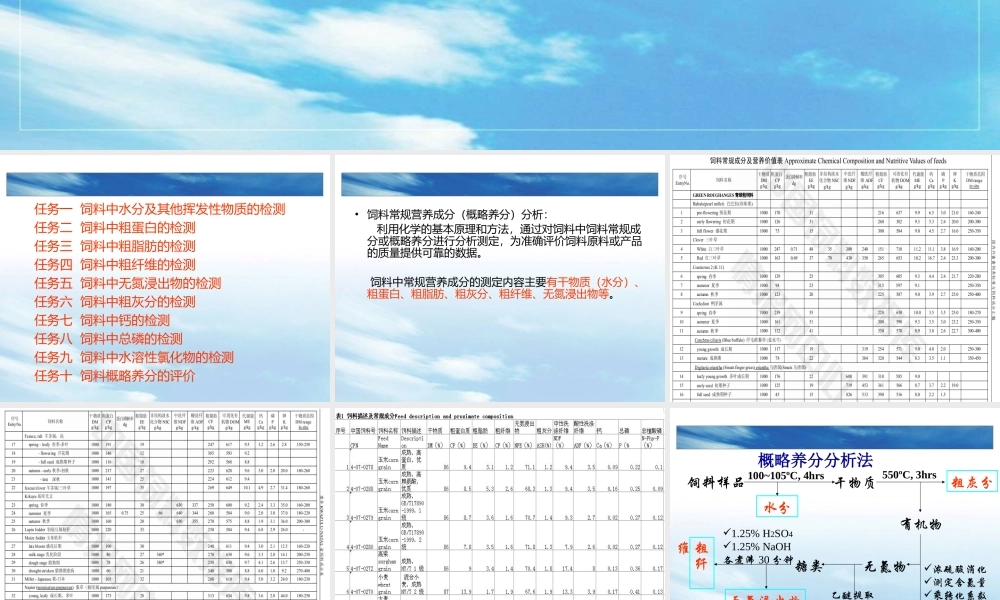 四饲料常规营养.ppt
