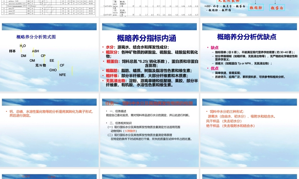 四饲料常规营养.ppt