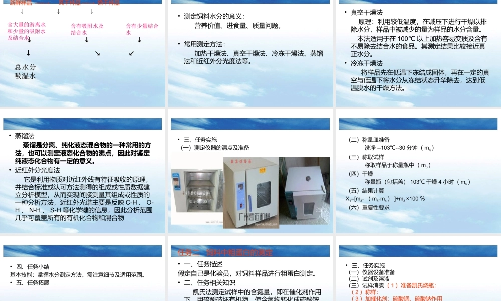 四饲料常规营养.ppt