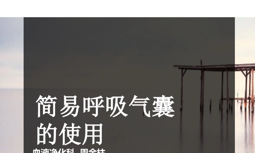 呼吸气囊使用周金柱.ppt