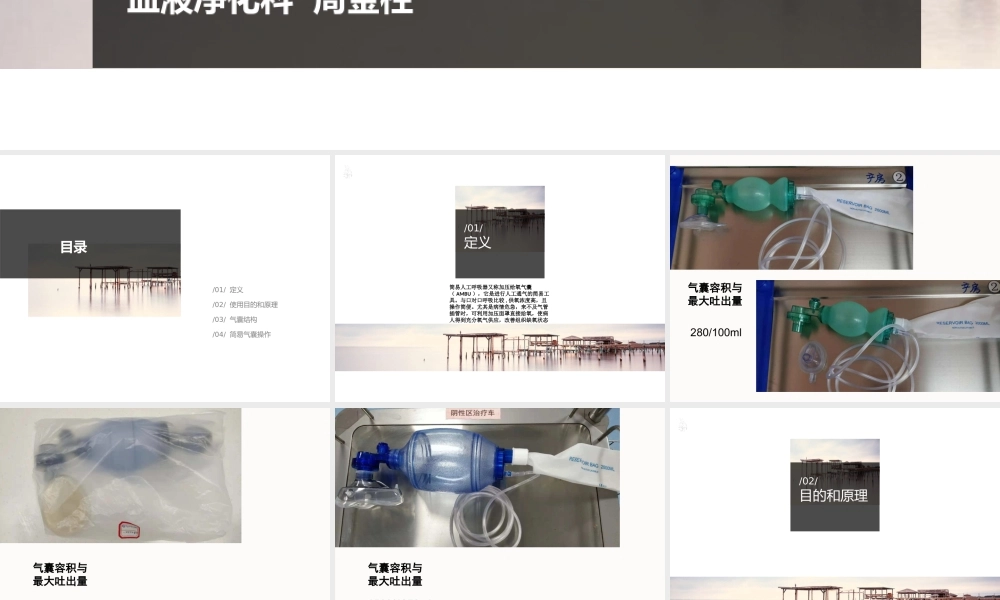 呼吸气囊使用周金柱.ppt