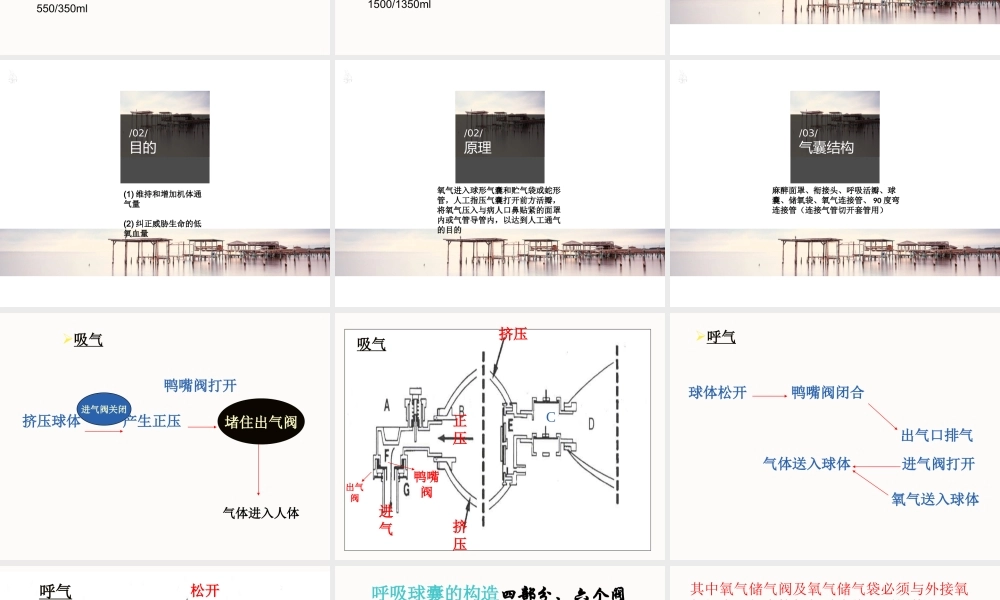 呼吸气囊使用周金柱.ppt