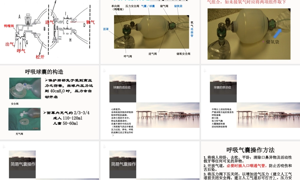 呼吸气囊使用周金柱.ppt