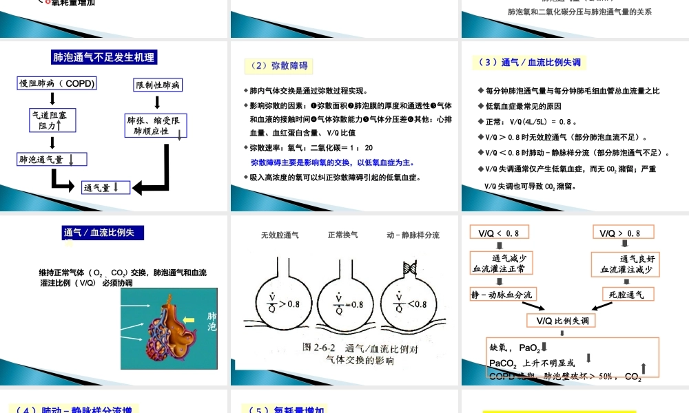 呼吸衰竭(本).ppt