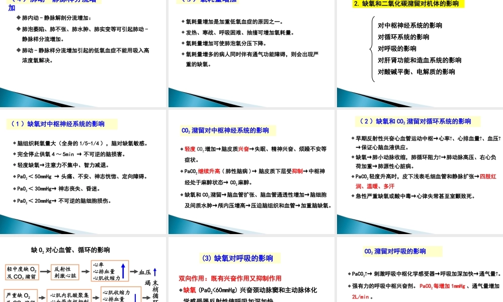 呼吸衰竭(本).ppt
