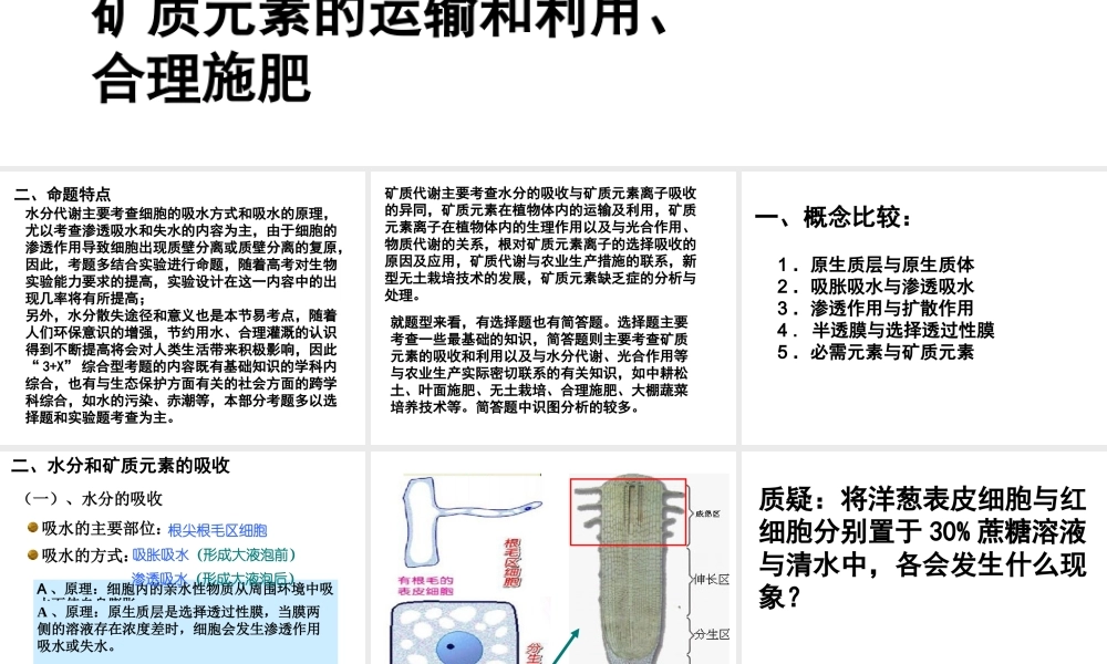 复习-水分代谢和矿质营养浙教版人教版.ppt
