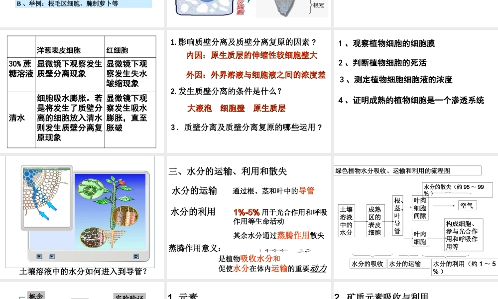 复习-水分代谢和矿质营养浙教版人教版.ppt