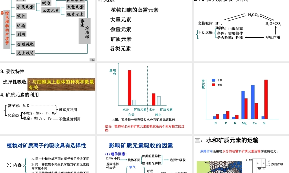 复习-水分代谢和矿质营养浙教版人教版.ppt
