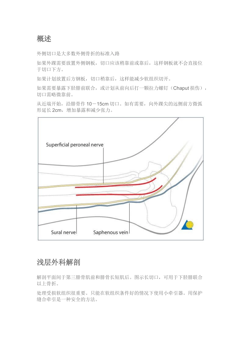 外踝及腓骨下段手术入路.docx_第1页
