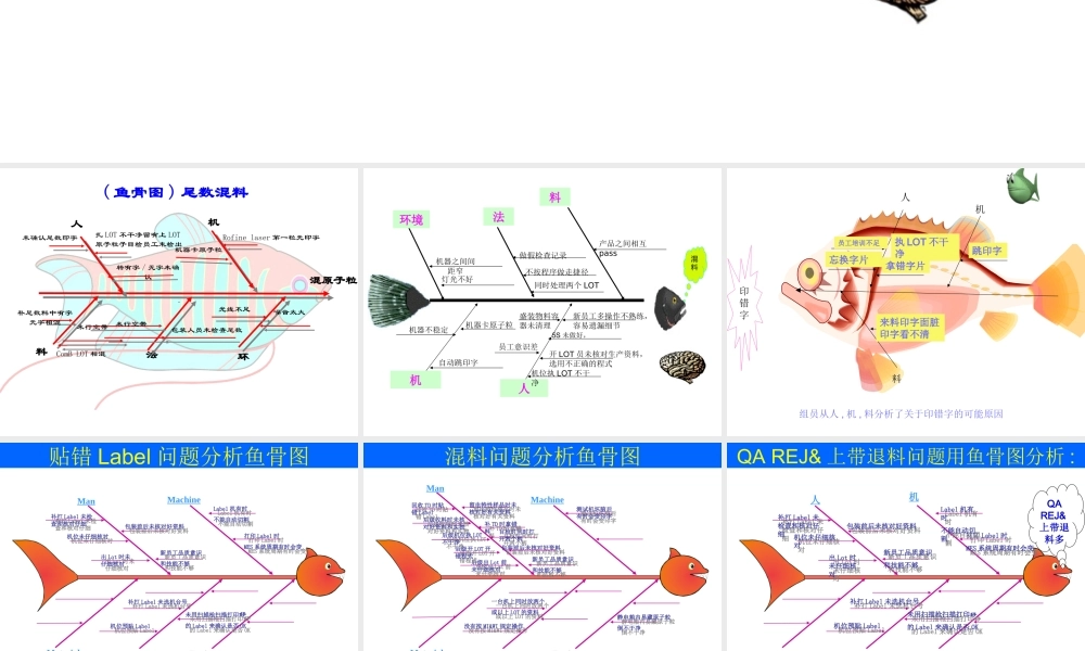 各种鱼骨图.ppt