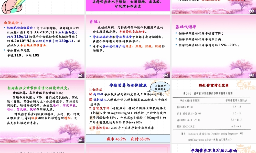 基础第七章——人群营养与膳食.ppt