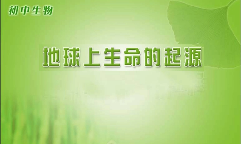 地球上生命起源ppt.ppt