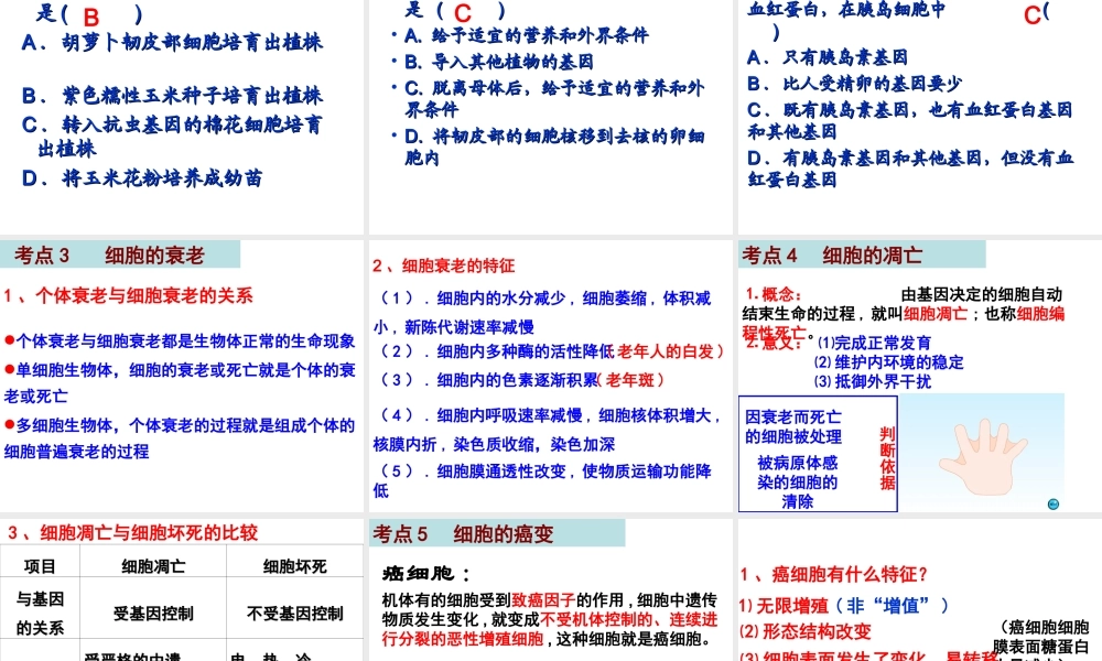 复习细胞的分化、衰老、凋亡和癌变.ppt