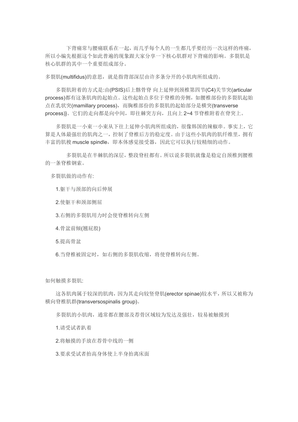 多裂肌与下背痛.doc_第1页