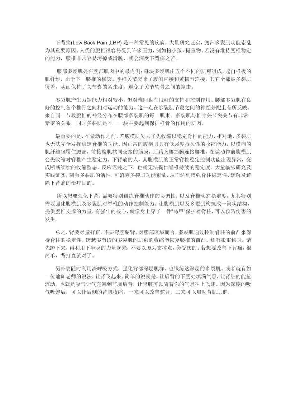 多裂肌与下背痛.doc_第2页