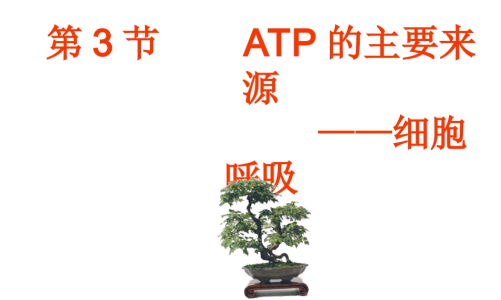 呼吸作用一资料.ppt