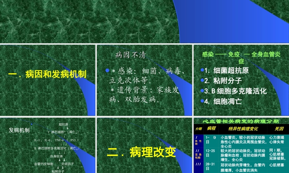 川崎病的诊治.ppt