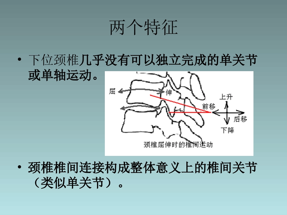 下位颈椎椎间关节材料.ppt_第3页