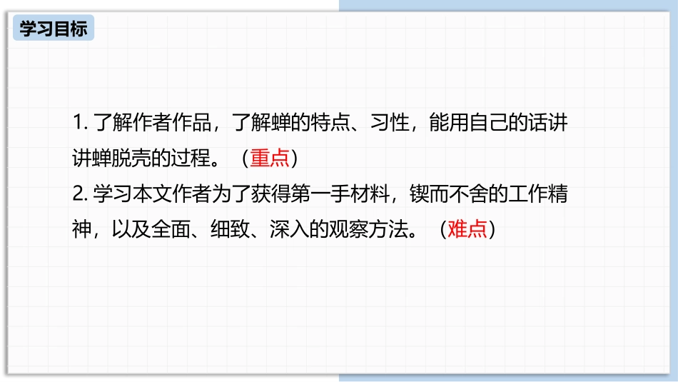 蝉PPT课件7.pptx_第3页