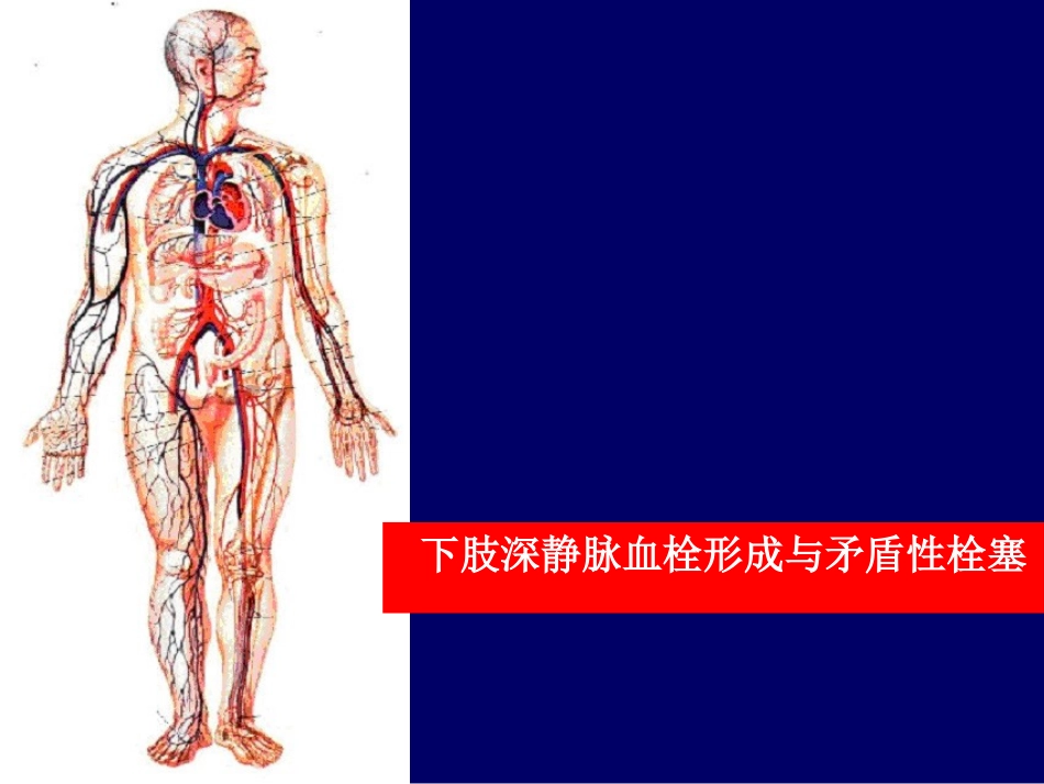 下肢静脉血栓详解.ppt_第2页