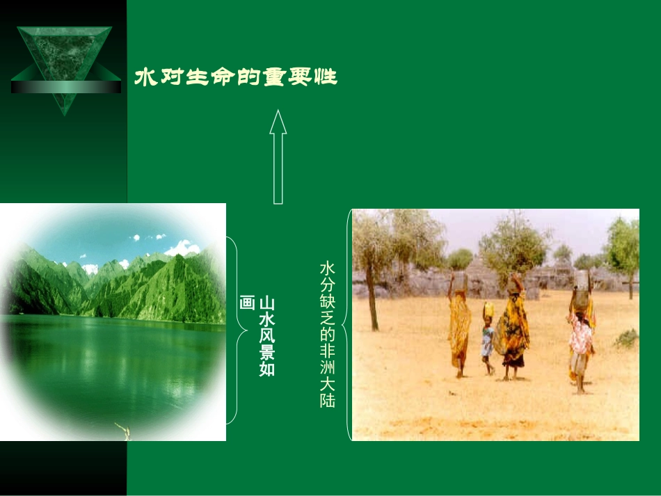 外界溶液浓度﹤细胞液浓度.ppt_第2页