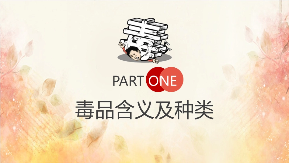 青少年毒品预防教育知识宣传全国禁毒日主题课件.pptx_第3页