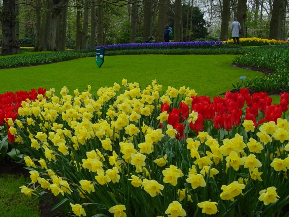 体外循环(北京阜外心血管病医院).ppt_第2页