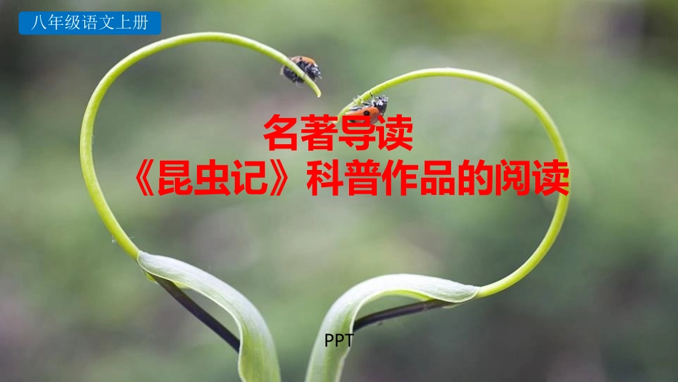 昆虫记PPT课件2.pptx_第1页