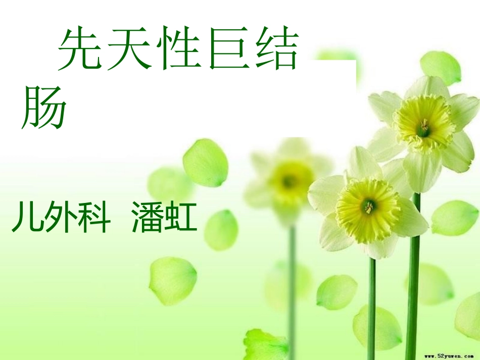 先天性巨结肠.pptx_第1页