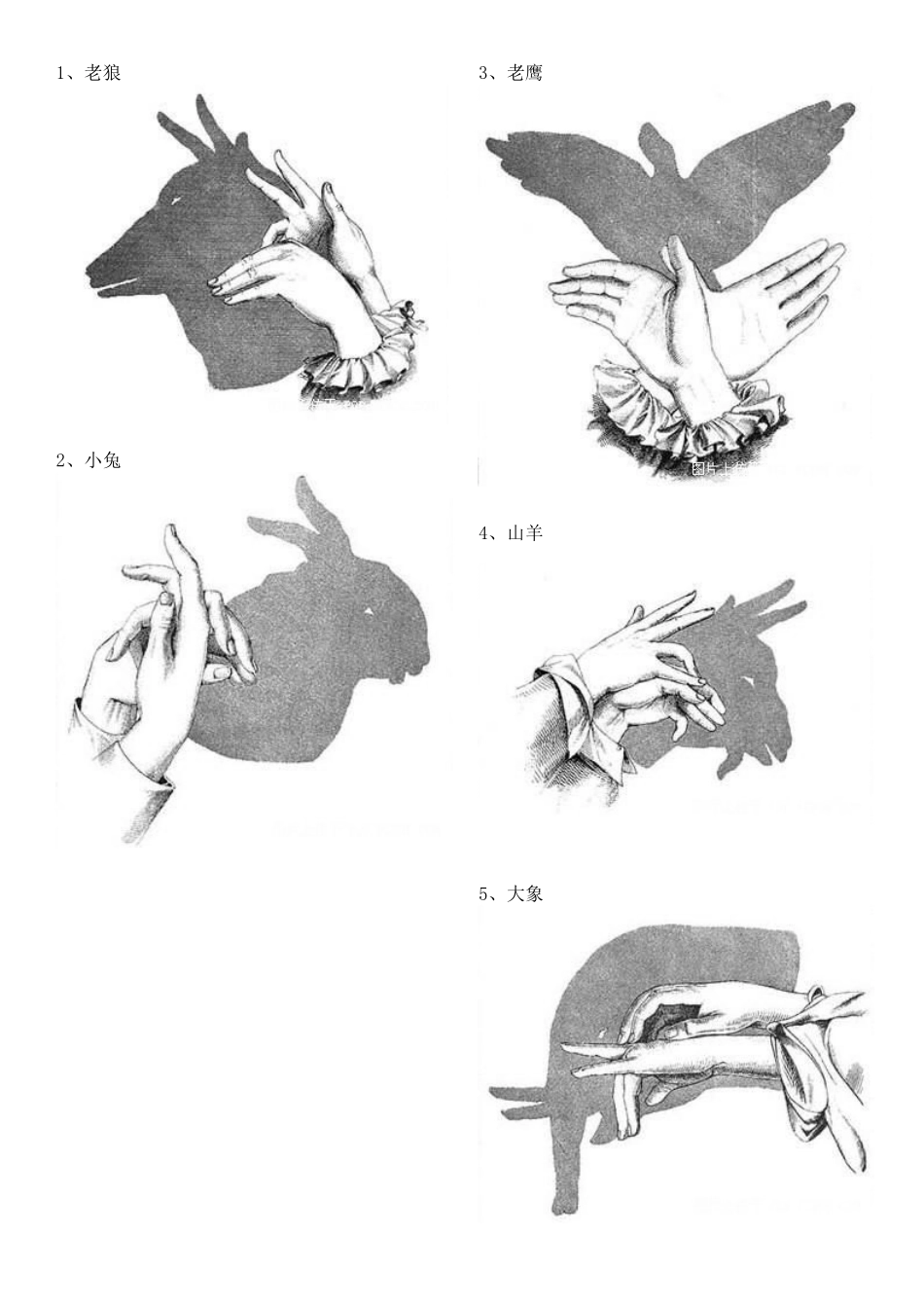 儿童手影(简易打印版).doc_第1页