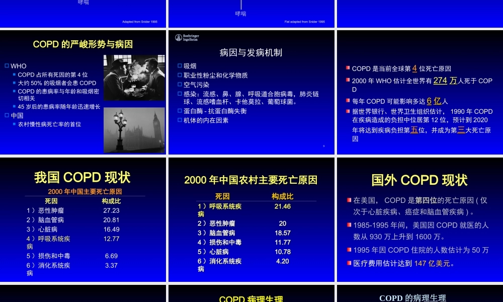 COPD慢性阻塞性肺病.ppt