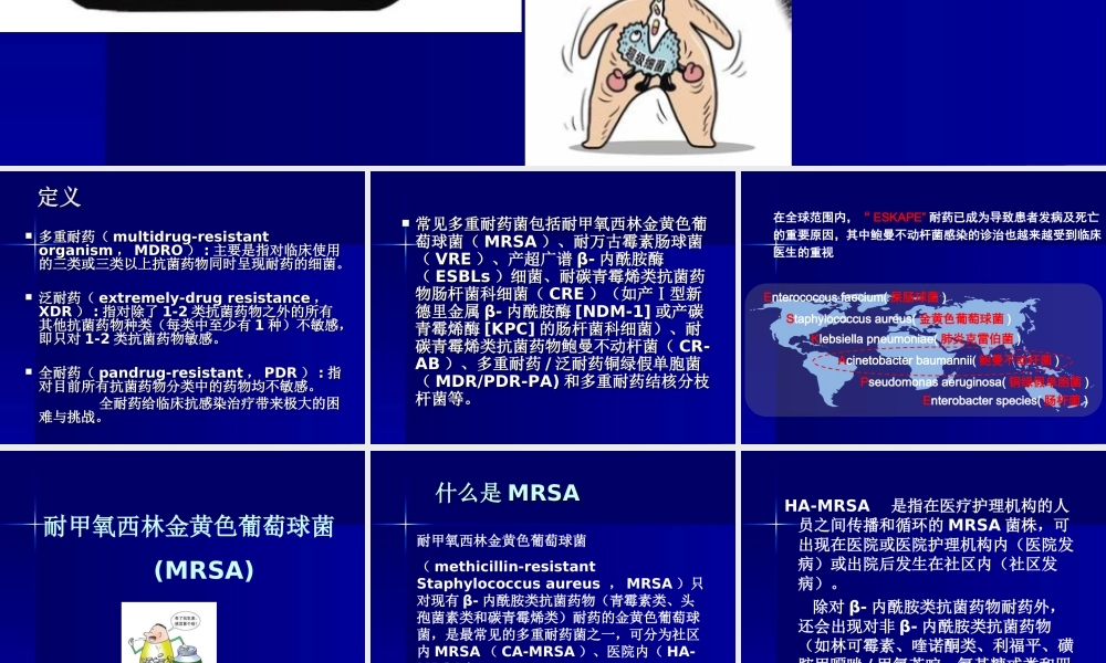 MDR流行病学.ppt