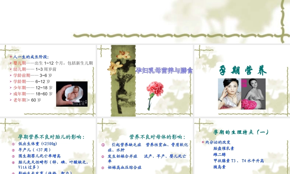 一、二孕妇、乳母营养与膳食[1].ppt