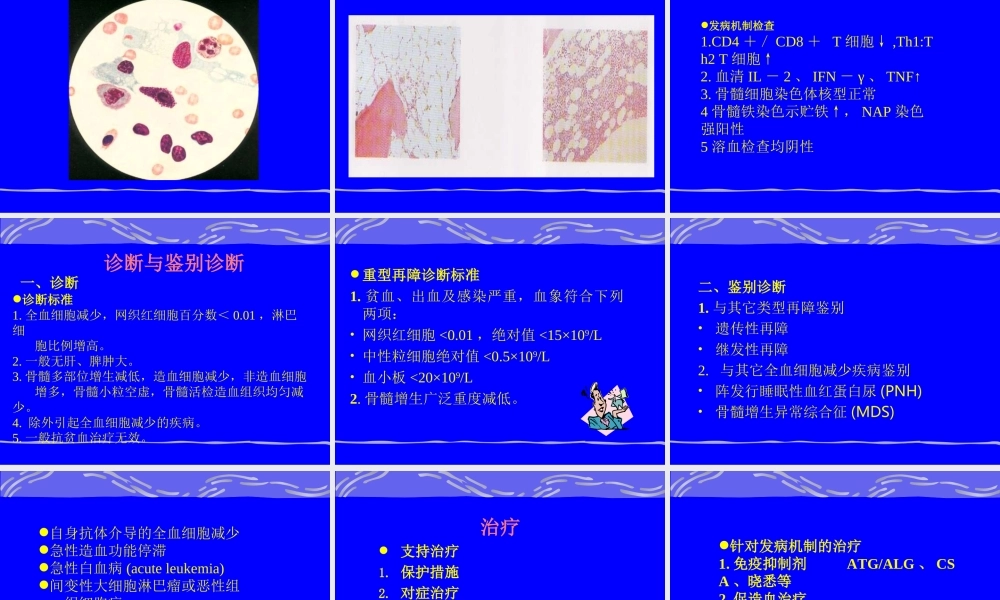 3再生障碍性贫血.ppt