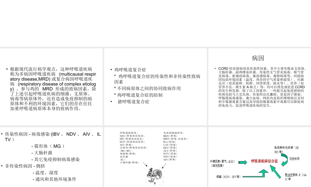 5-呼吸道复合症.ppt