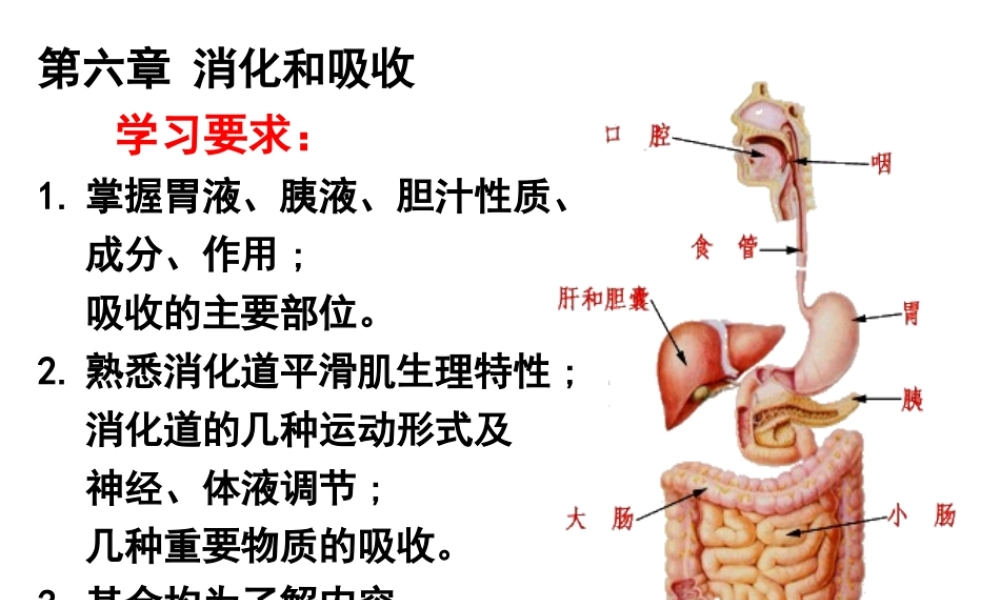 AC6消化1施建蓉.ppt