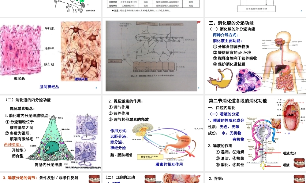 AC6消化1施建蓉.ppt