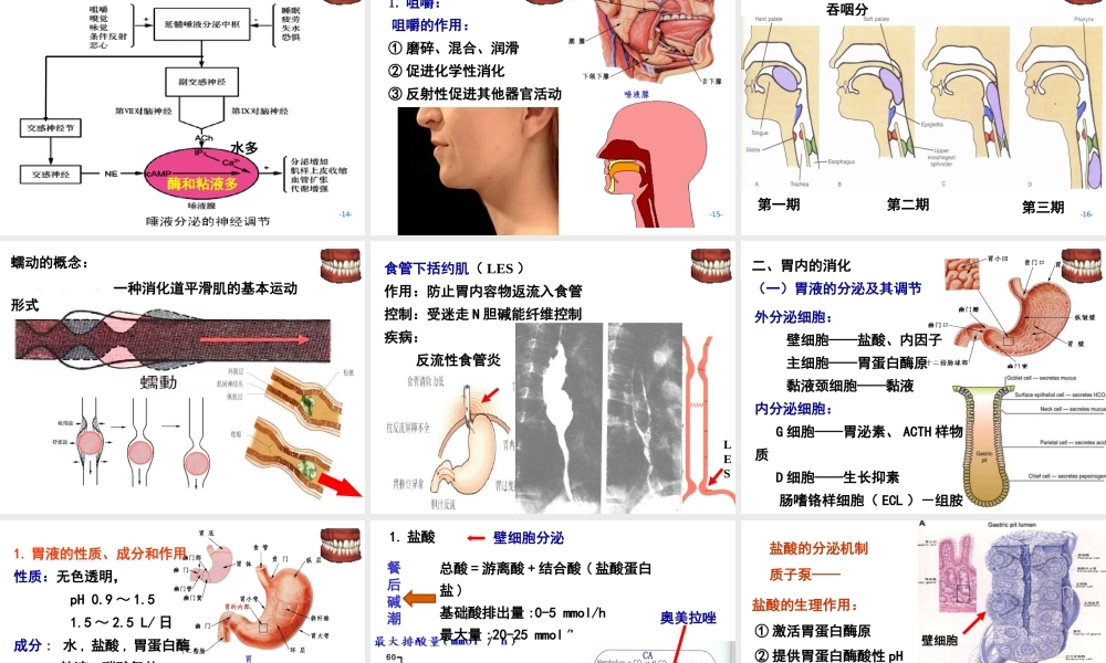 AC6消化1施建蓉.ppt