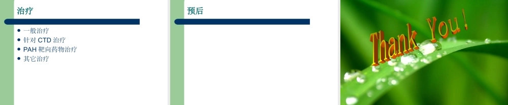 CTD-肺动脉高压概述.ppt
