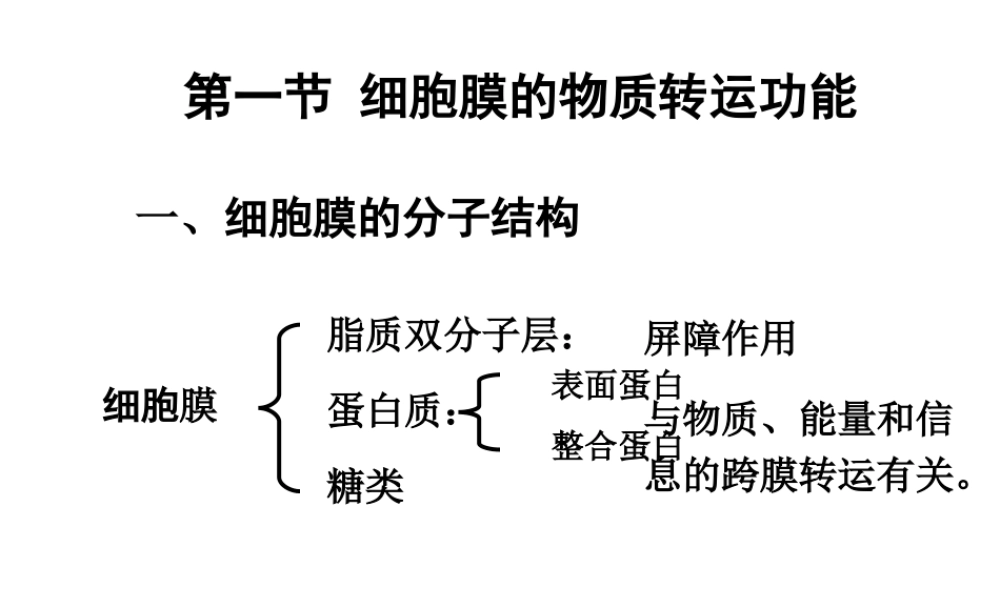 D细胞的基本功能.ppt