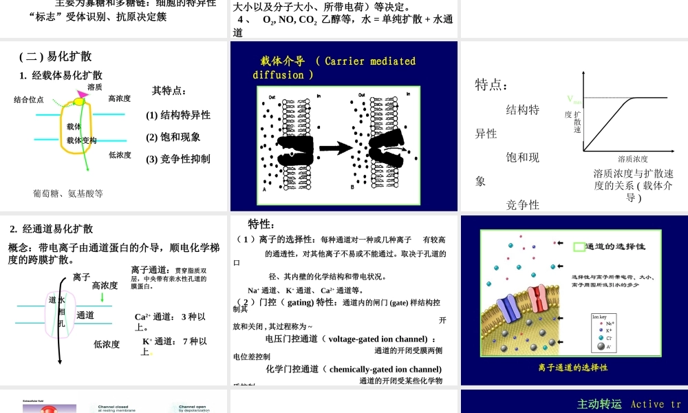 D细胞的基本功能.ppt