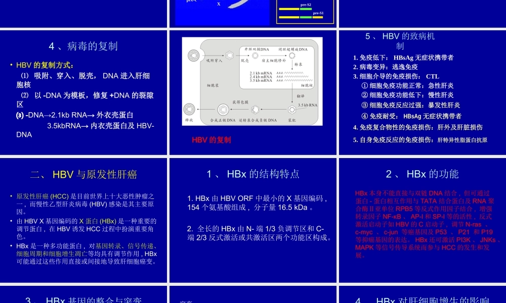 HBV-X-蛋白与原发性肝癌.ppt